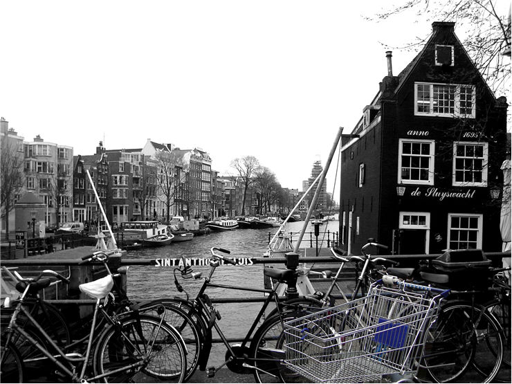 Picture Of Bicycles In Amsterdam