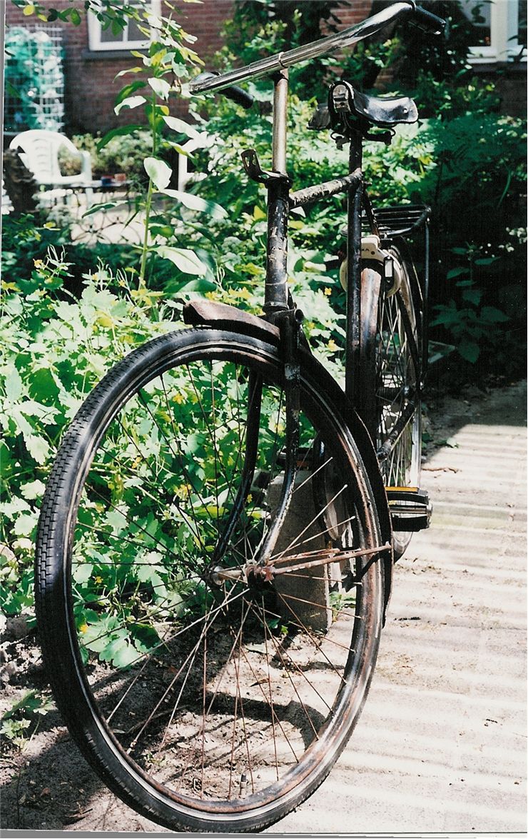 Picture Of Old Bicycle In Garden