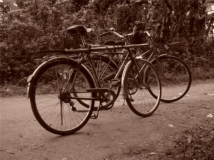 Picture Of Two Old Bicycles